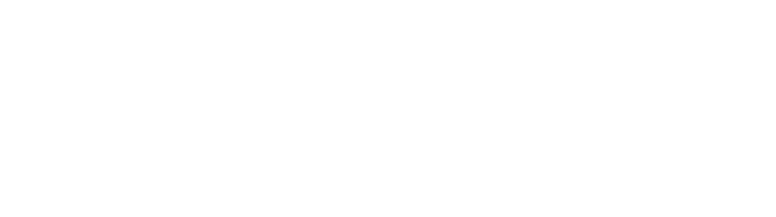 oig-logo-white